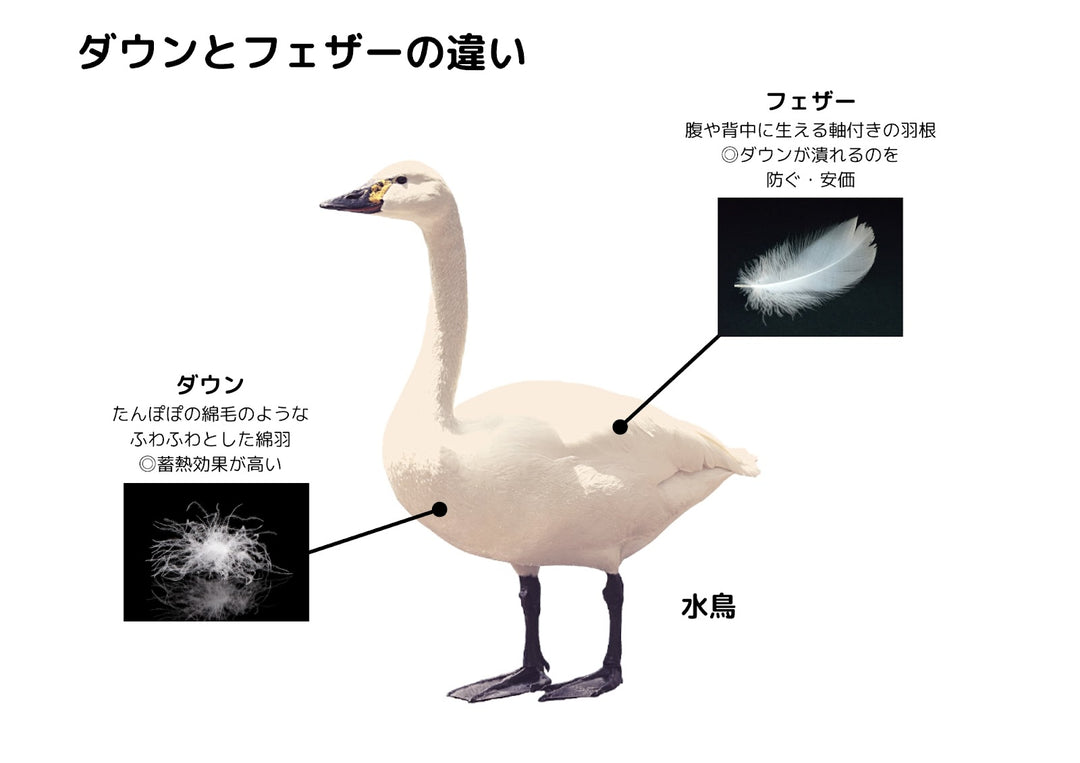 winter winter – The Cotton Makers Studio